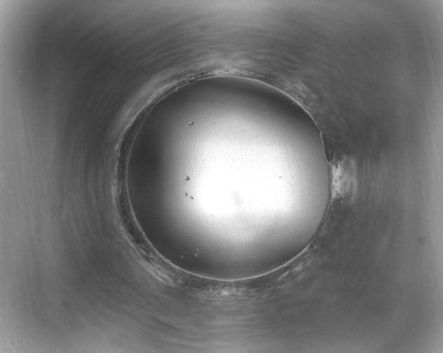 X0000069360291200605150923