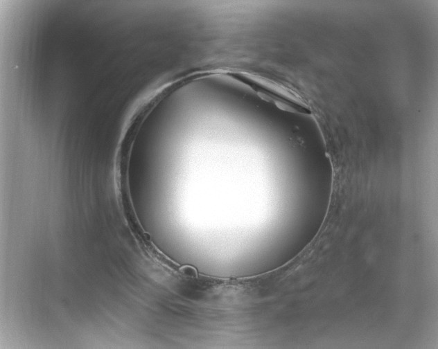 X0000069360294200605150923