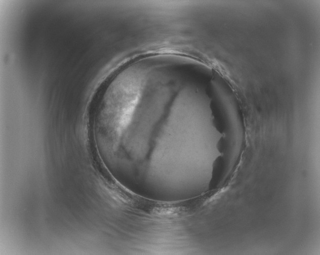 X0000069360295200605150923