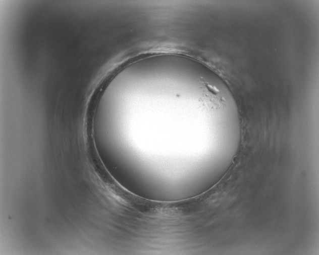 X0000069360296200605150923