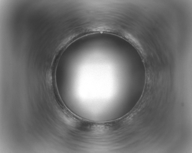 X0000069360298200605150923