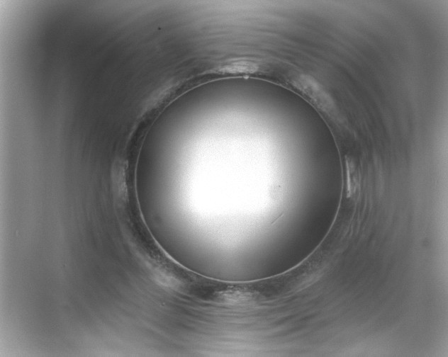 X0000069360300200605150923