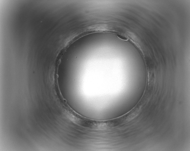 X0000069360301200605150923