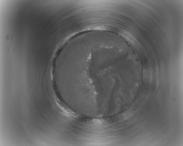 X0000069360302200605150923