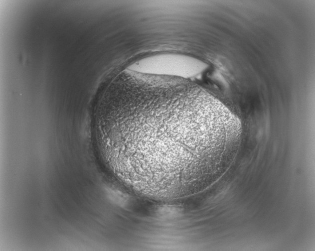 X0000069360303200605150923