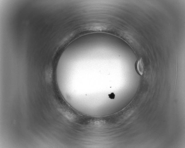 X0000069360304200605150923