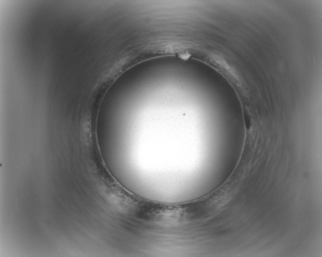 X0000069360306200605150923