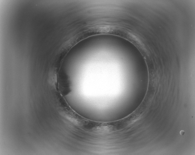 X0000069360307200605150923