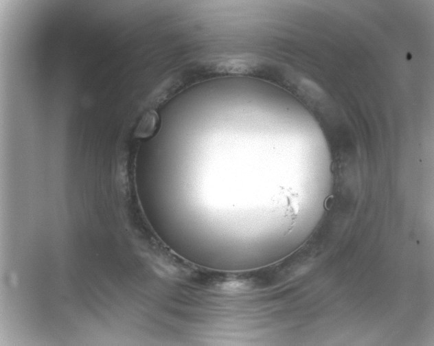 X0000069360312200605150923