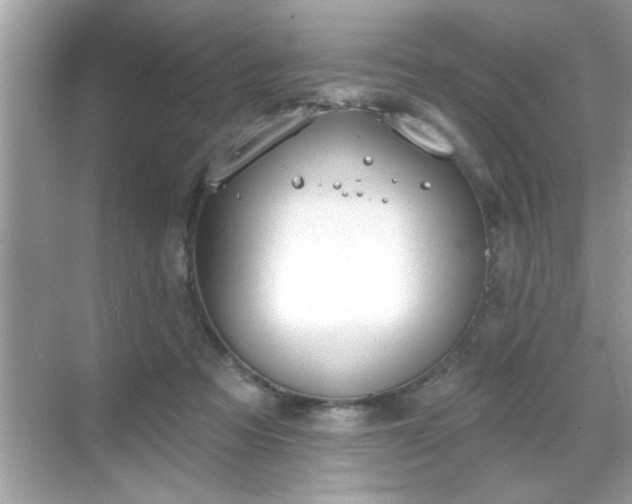 X0000069360313200605150923