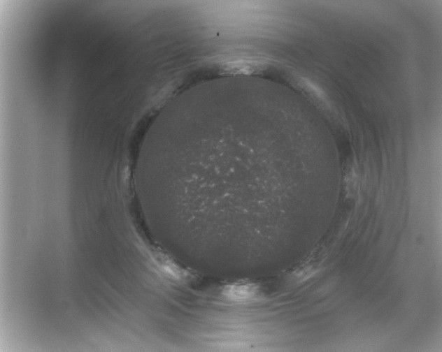 X0000069360314200605150923