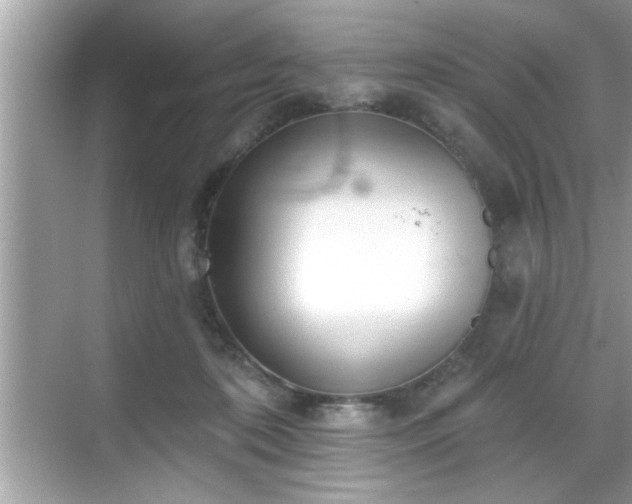 X0000069360316200605150923