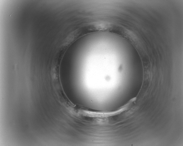 X0000069360317200605150923