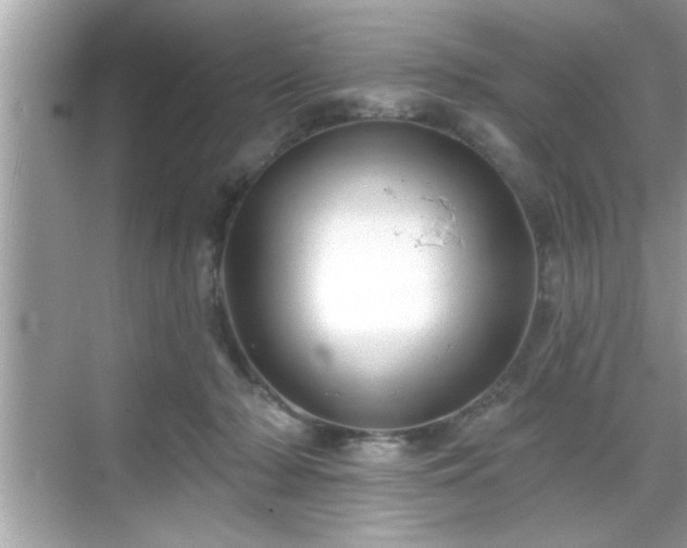 X0000069360318200605150923