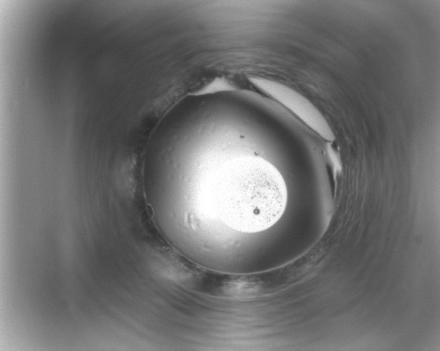 X0000069360319200605150923