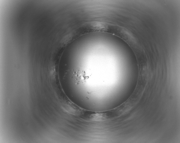 X0000069360320200605150923