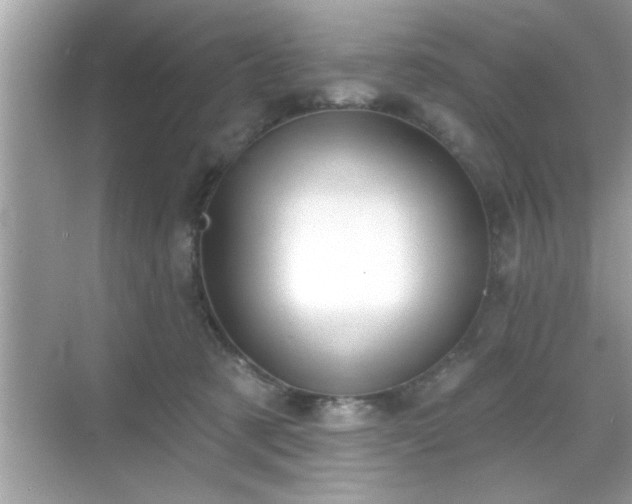 X0000069360321200605150923