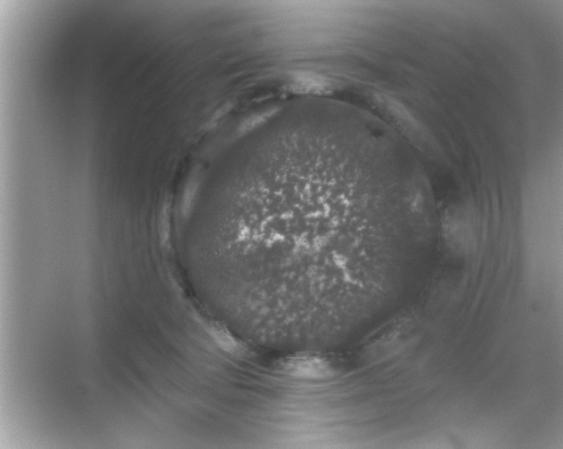 X0000069360322200605150923