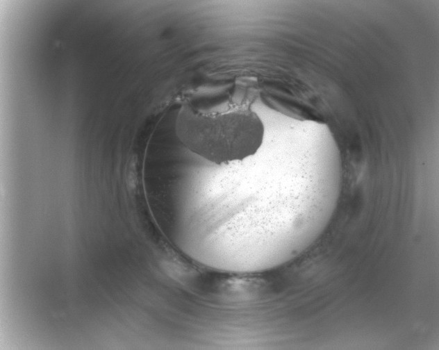 X0000069360323200605150923