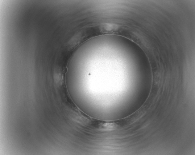 X0000069360324200605150923