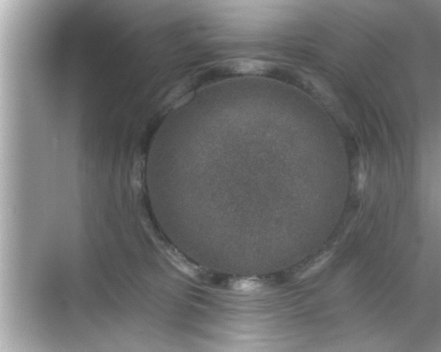 X0000069360325200605150923