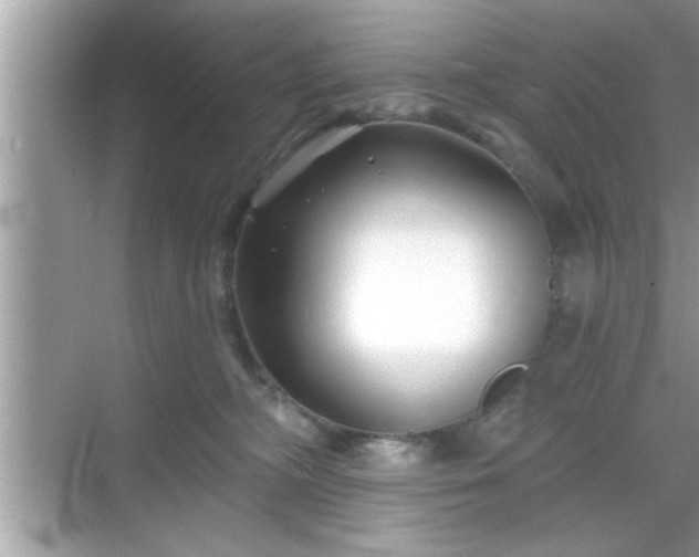 X0000069360326200605150923