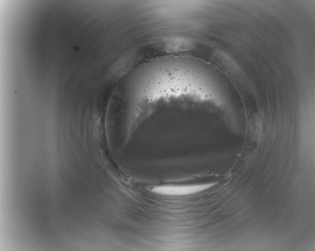 X0000069360327200605150923