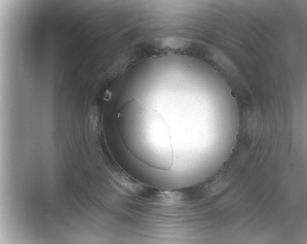 X0000069360328200605150923