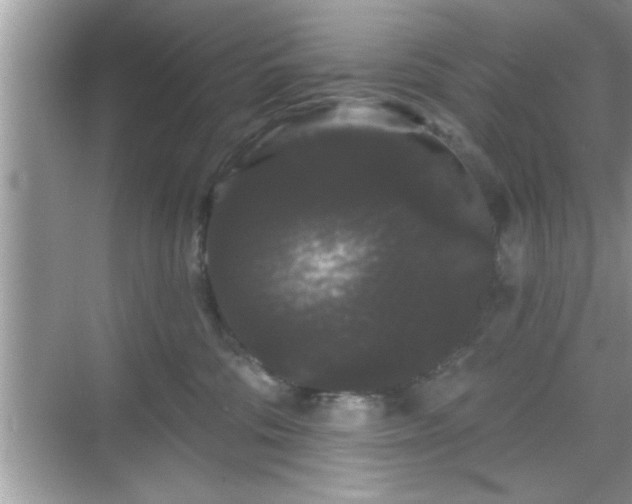 X0000069360330200605150923