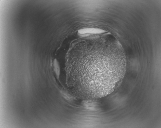 X0000069360331200605150923