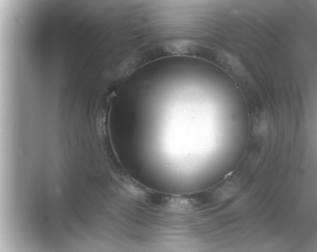 X0000069360332200605150923