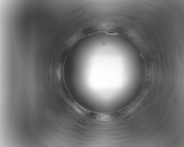 X0000069360334200605150923