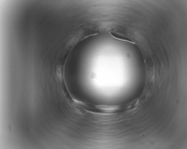 X0000069360335200605150923