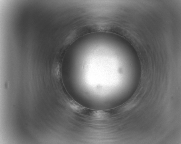 X0000069360336200605150923