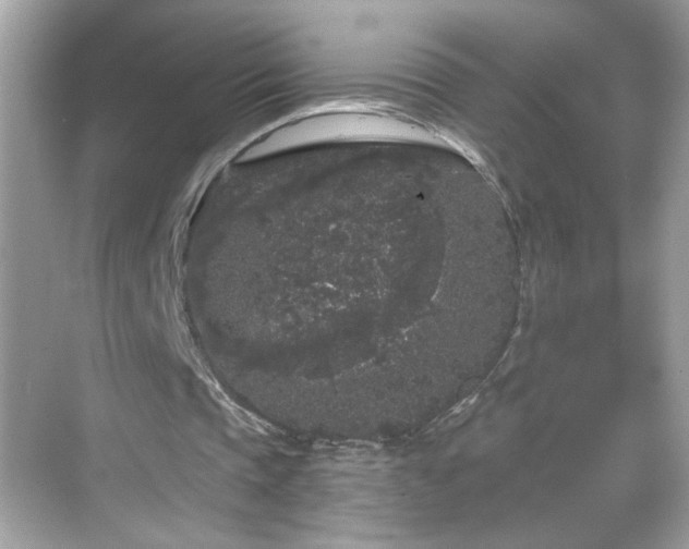 X0000069360337200605150922