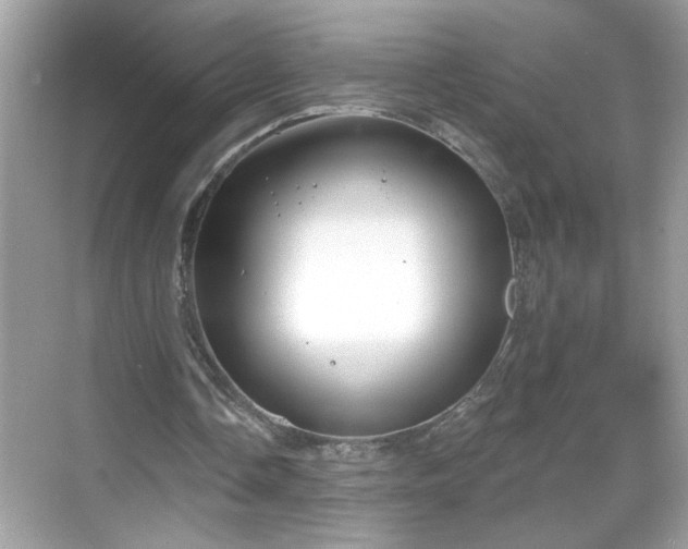 X0000069360338200605150922