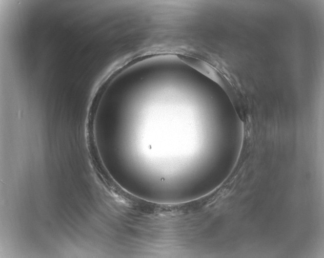 X0000069360340200605150922