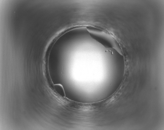 X0000069360342200605150922