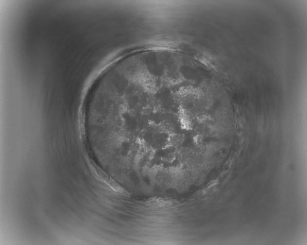 X0000069360343200605150922