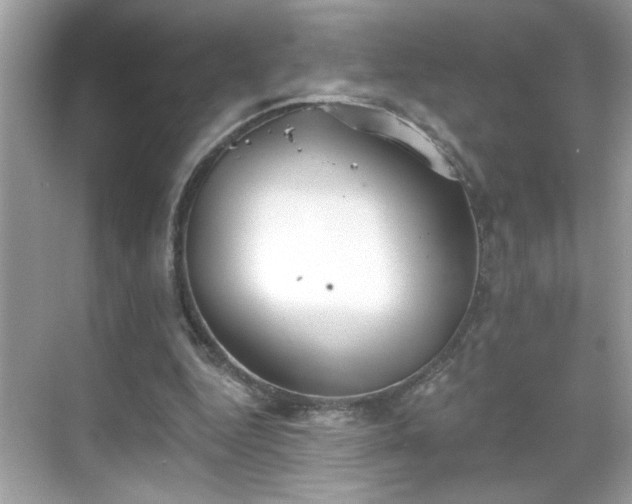 X0000069360344200605150922