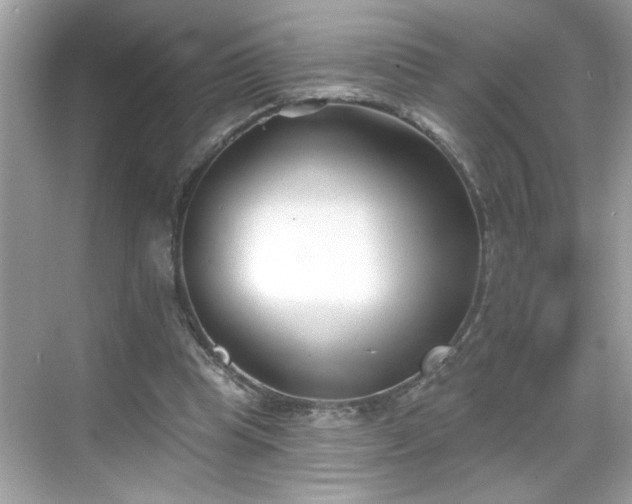 X0000069360345200605150922