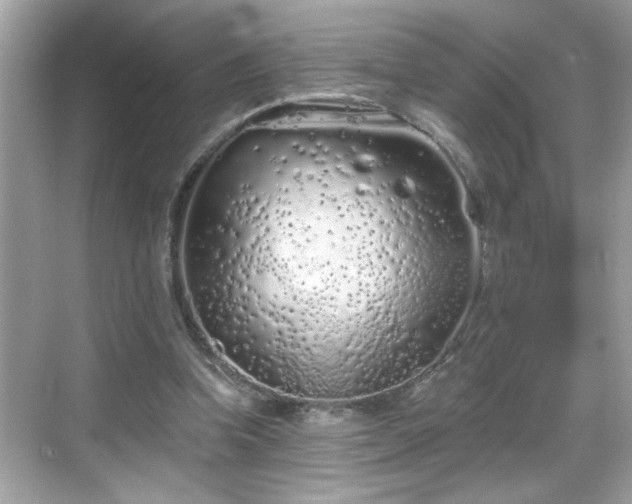 X0000069360346200605150922