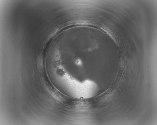 X0000069360347200605150922