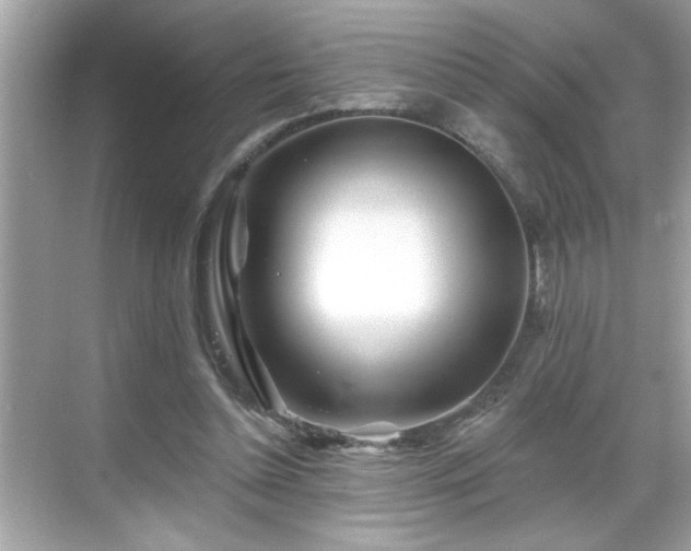 X0000069360348200605150922