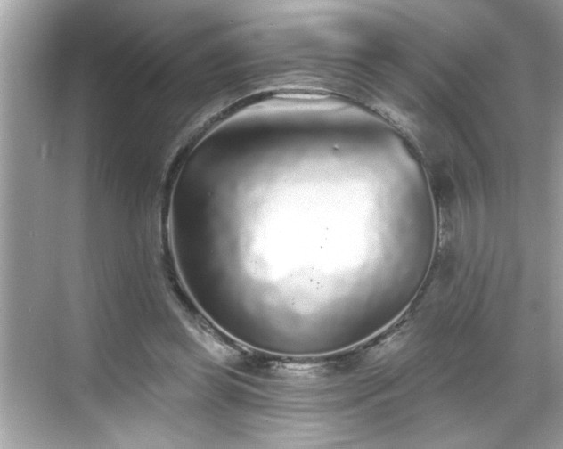 X0000069360349200605150922