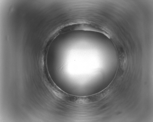 X0000069360350200605150922