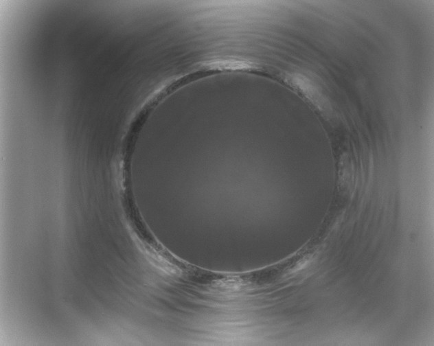 X0000069360351200605150922