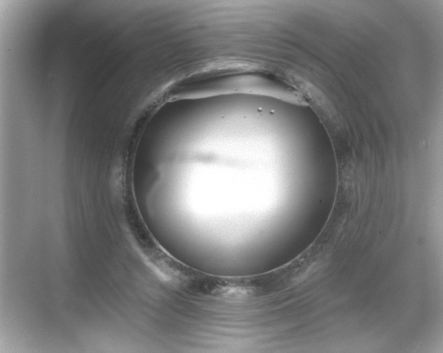 X0000069360352200605150922