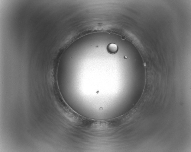 X0000069360354200605150922