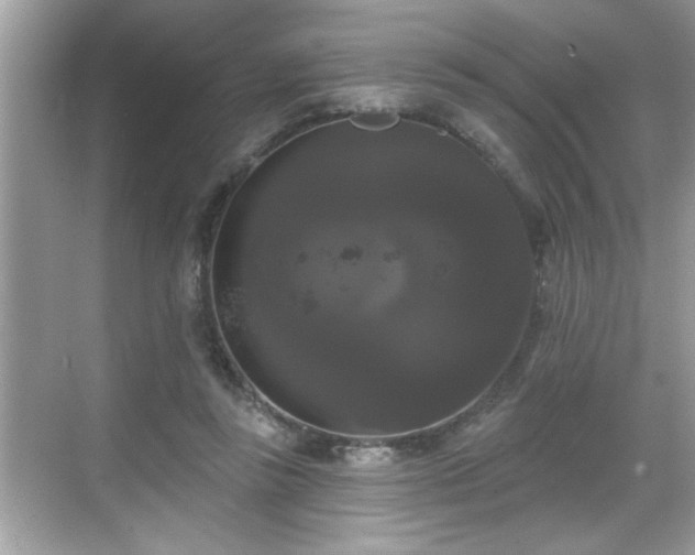 X0000069360355200605150922